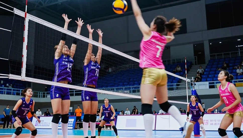 Brazil đăng quang Nam Mỹ, giành suất dự Olympic bóng chuyền nữ