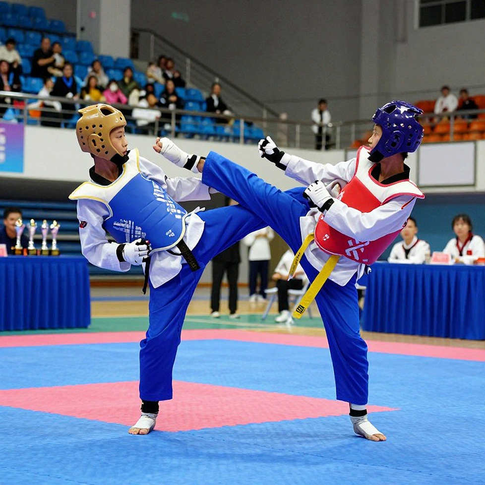 Vietnamese Martial Arts Between Two Rings: The Counter Steps Into the Village Court Vietnamese Martial Arts Between Two Rings: The Counter Steps Into the Village Court