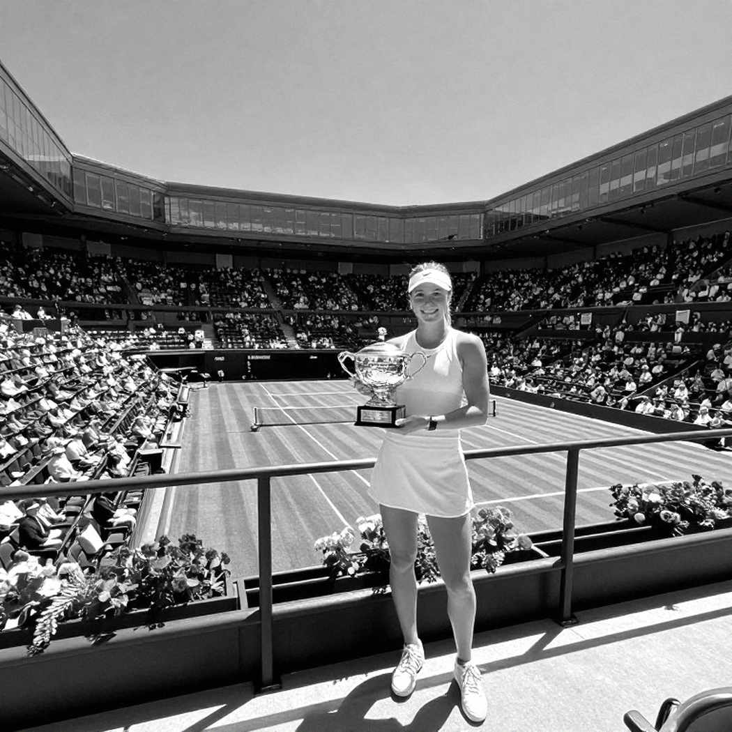The Gaps in Tennis Data and What They Hide The Gaps in Tennis Data and What They Hide