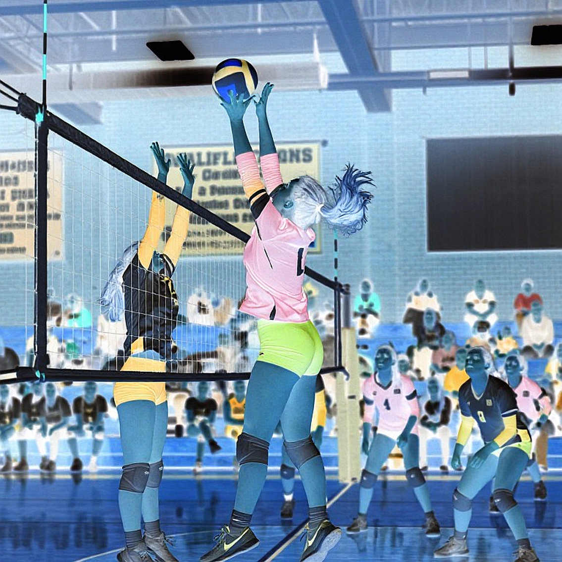 2027 FIVB Women's Volleyball World Cup: 18 of 32 Spots Filled as All Continental Qualifiers Conclude 2027 FIVB Women's Volleyball World Cup: 18 of 32 Spots Filled as All Continental Qualifiers Conclude