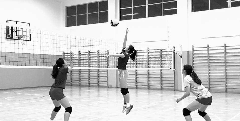 Binh Chung Thong Tin Win the 2026 Vietnamese Women's Volleyball Championship: A 13th Title and the Data Void Behind It