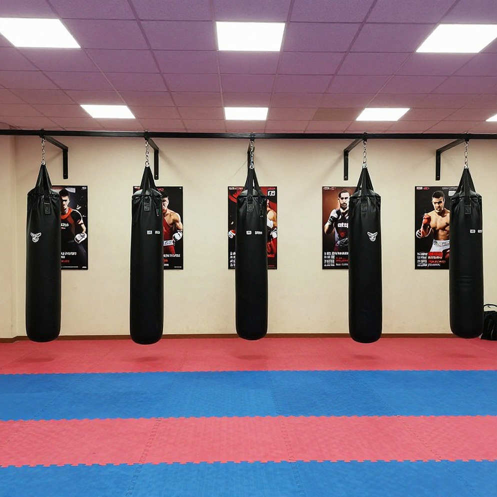 Vietnamese Martial Arts Between Two Worlds: Identity, Commerce, and the Unnamed Limits